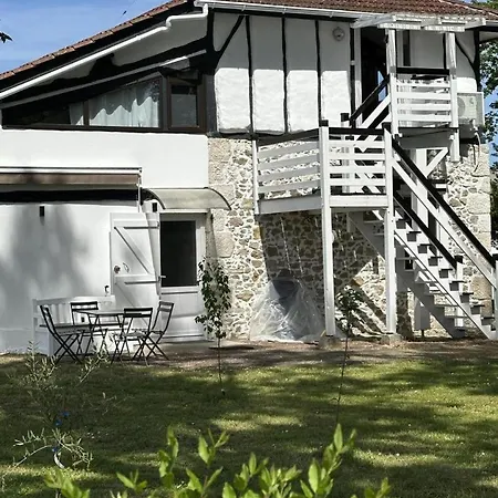 Apartment Patxi