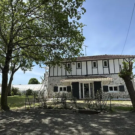 Patxi Apartment